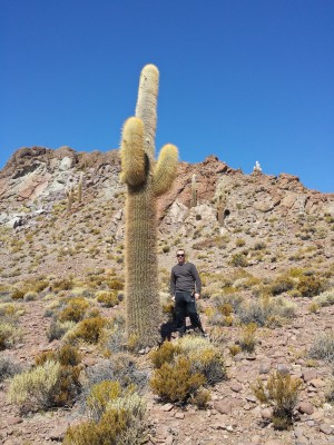 Cacti on Isla de Pescado