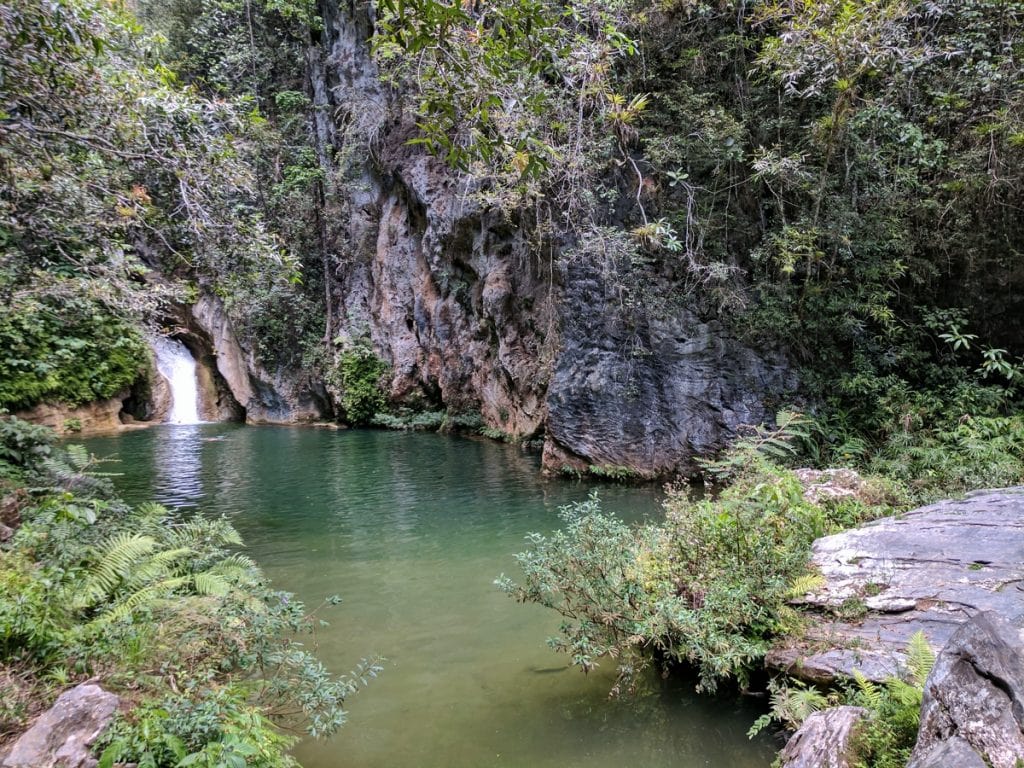 Leaping Caburní