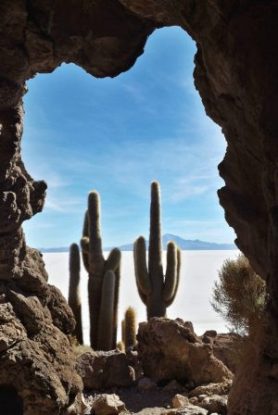 Isla Incahuasi Cacti Frame