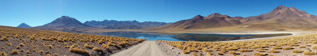 Laguna Miscanti pano