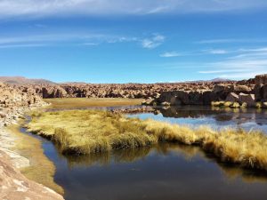 Laguna Negra Bolivia